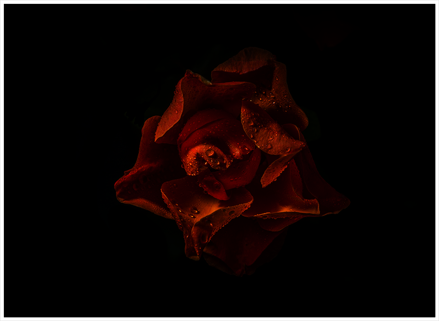 Fotografie