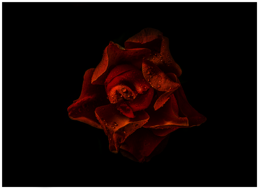 Fotografie
