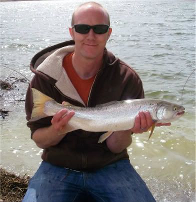 [Image: IMGP3335-2.jpg]