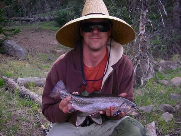 [Image: IMGP4173-2.jpg]