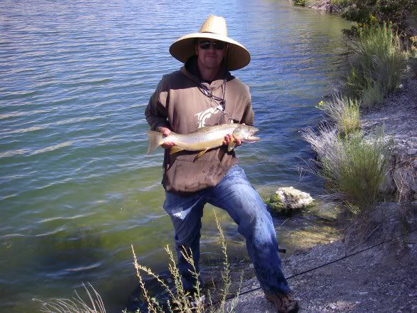 [Image: IMGP5706.jpg]