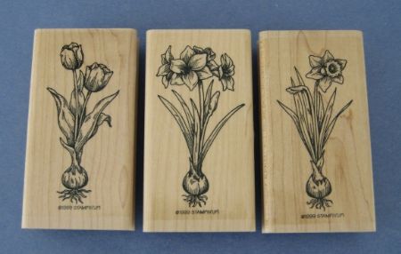 Spring Flowers