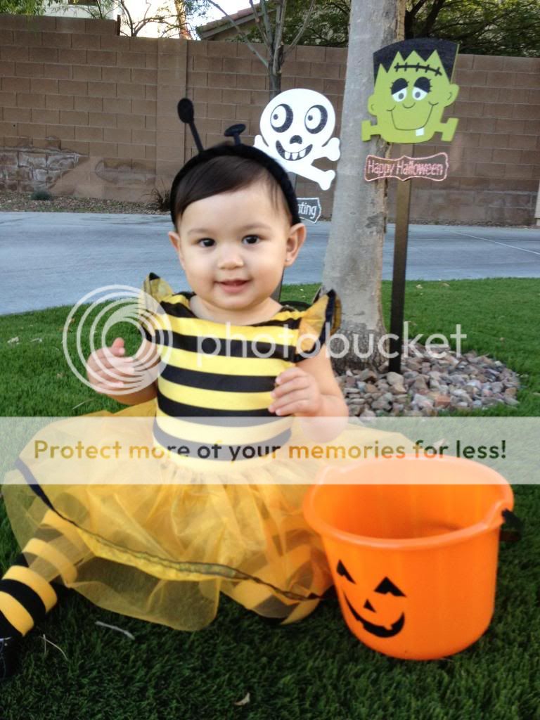 Gymboree Baby Girl Bumble Bee Costume Lot 6 12 Months Yellow Black Leggings