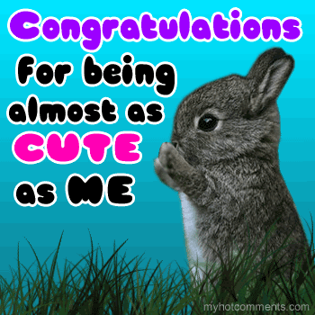 congrats animated photo: Congratulations bunny rabbit animated Hase Lapin congrats_zps9198bc1f.gif