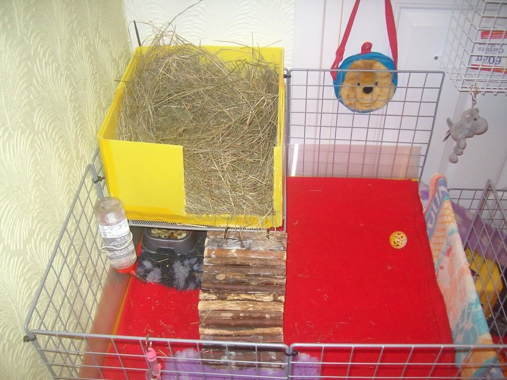 ALIM0155.jpg