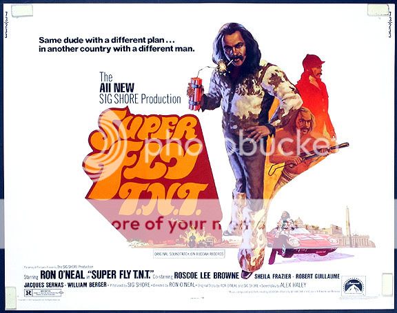 Original 1973 SUPER FLY T.N.T. 22x28 HS Movie Poster  