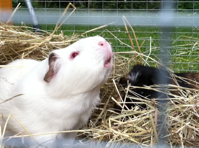 photo-13.jpg