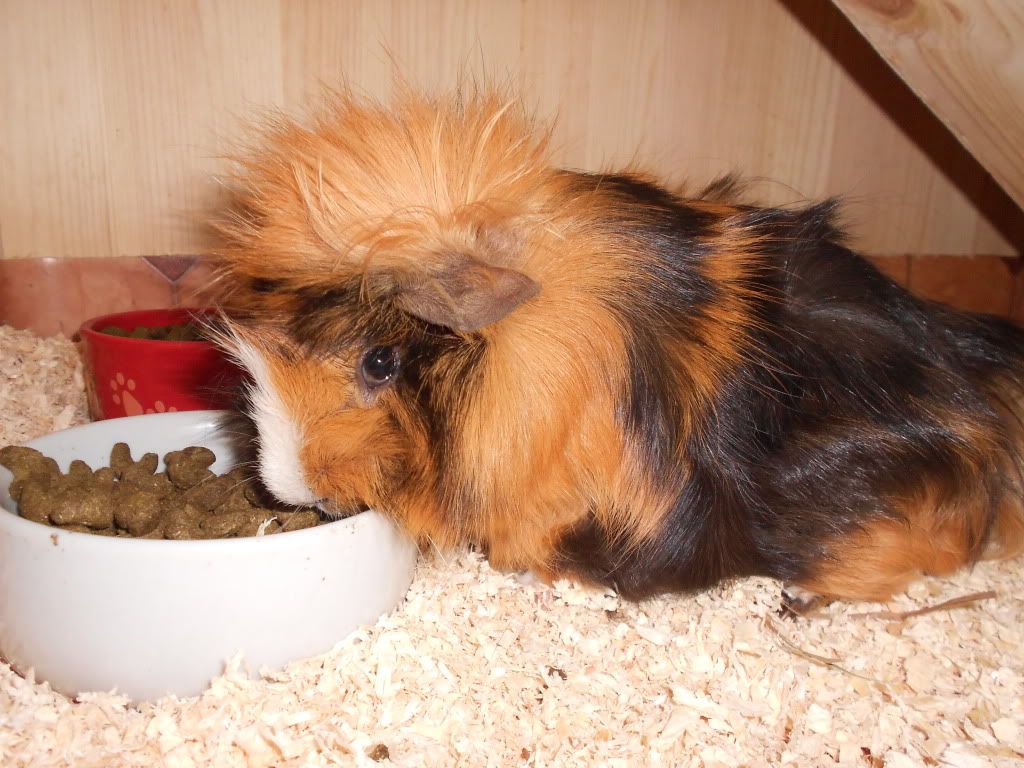 DSCN0173.jpg