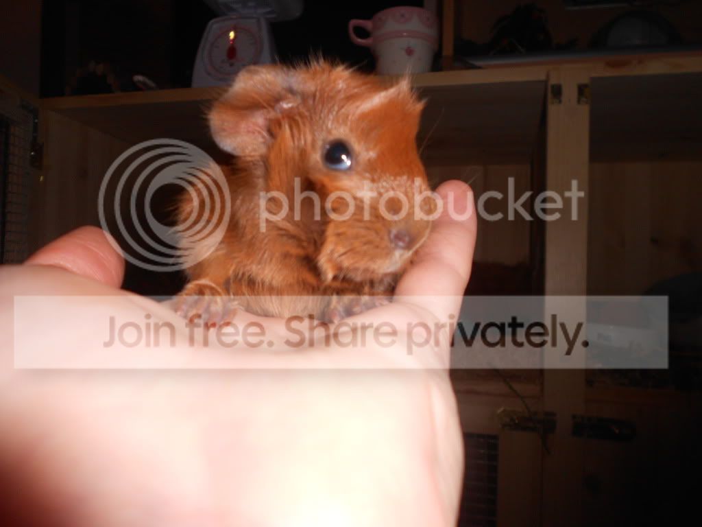 DSCN0391.jpg