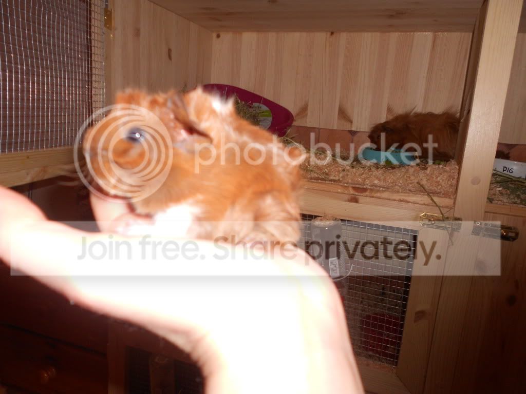DSCN0395.jpg