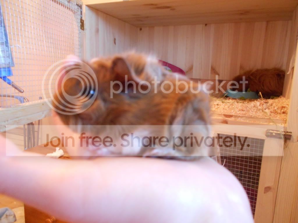 DSCN0396.jpg
