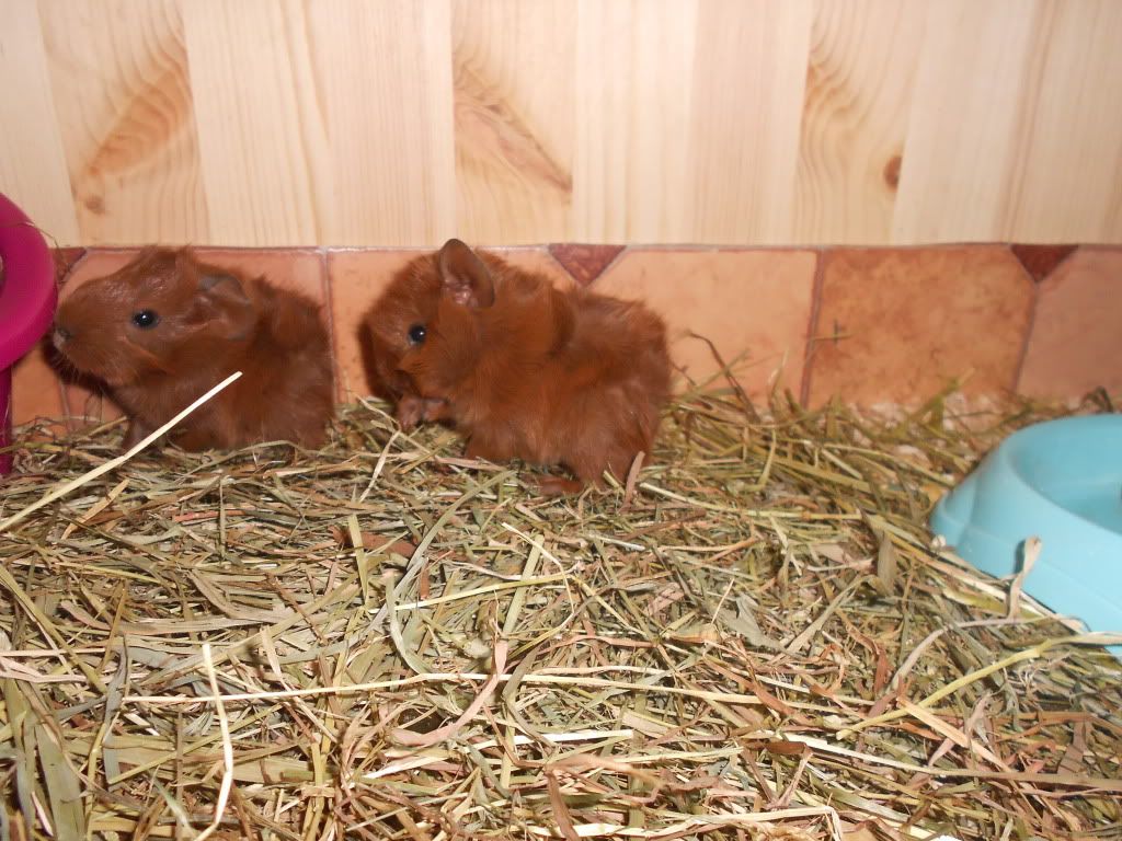 DSCN0456.jpg