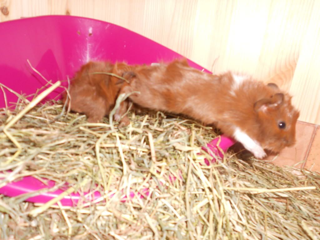 DSCN0461.jpg