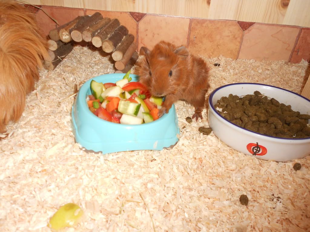 DSCN0473.jpg