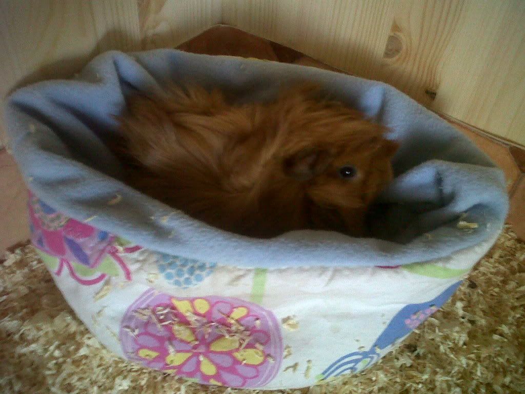 IMG00659-20120325-1725.jpg