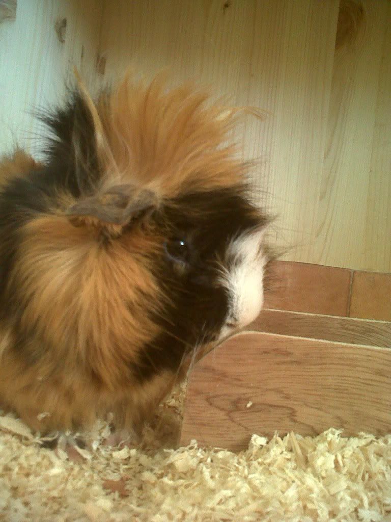 IMG00693-20120404-1313-1.jpg