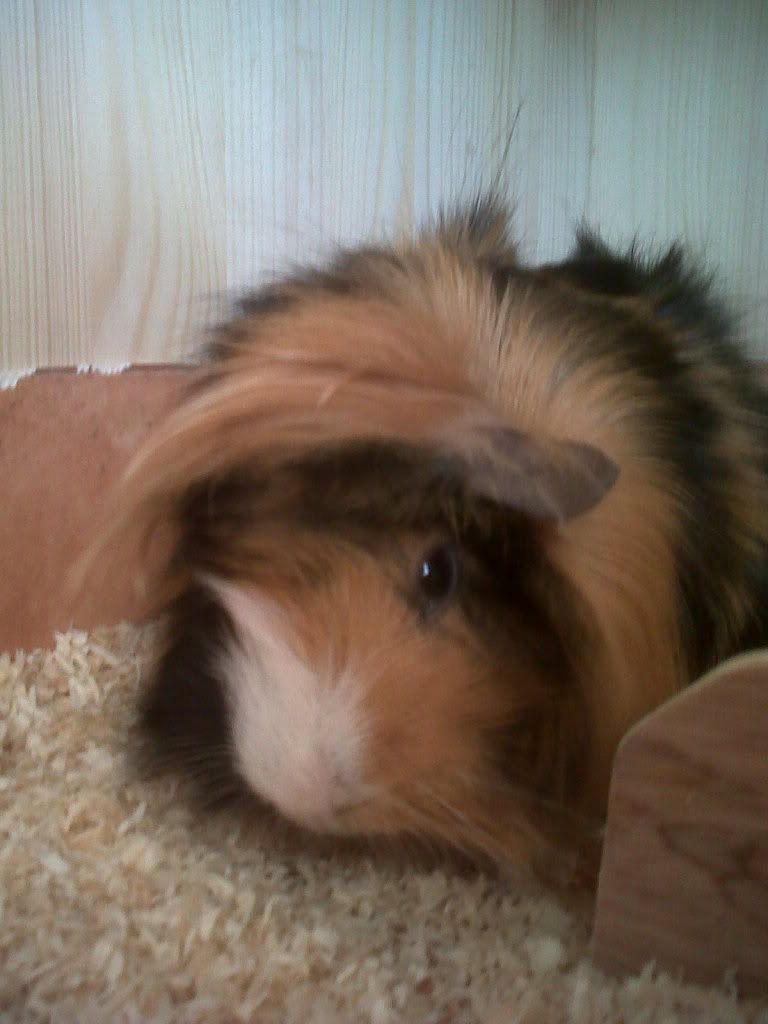 IMG00695-20120404-1316-1.jpg