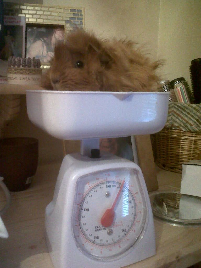 IMG00700-20120404-1940-1.jpg