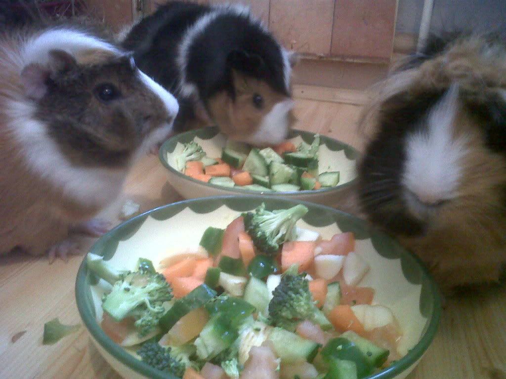IMG00715-20120421-1840.jpg
