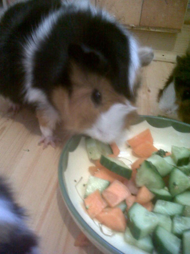 IMG00719-20120421-1841.jpg