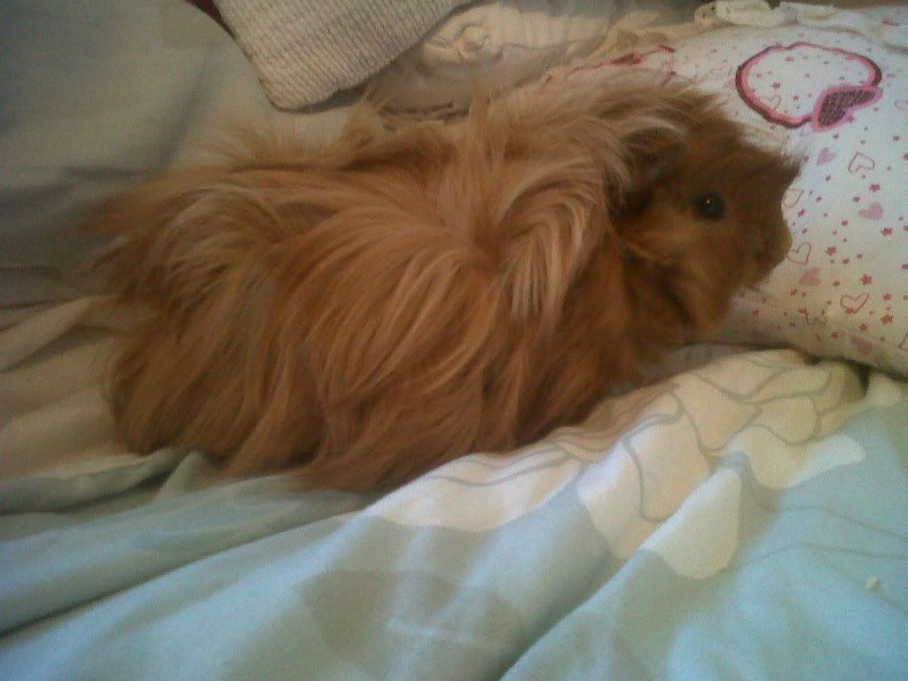IMG00732-20120421-1939.jpg