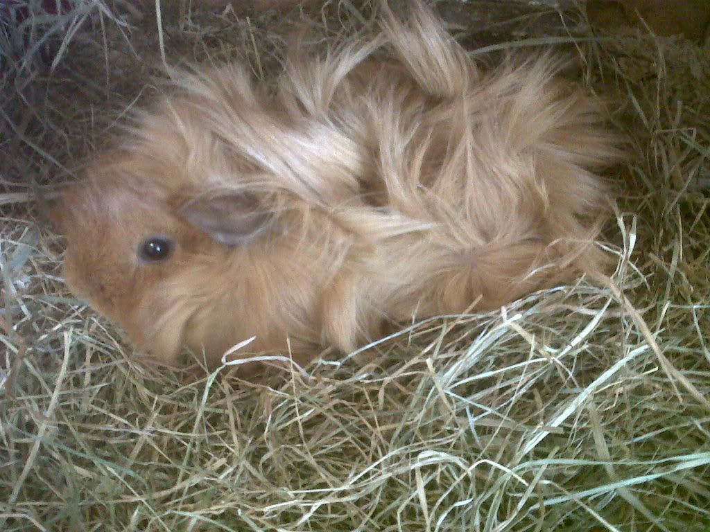 IMG00734-20120422-1641.jpg