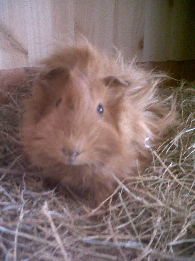 IMG00735-20120422-1641.jpg