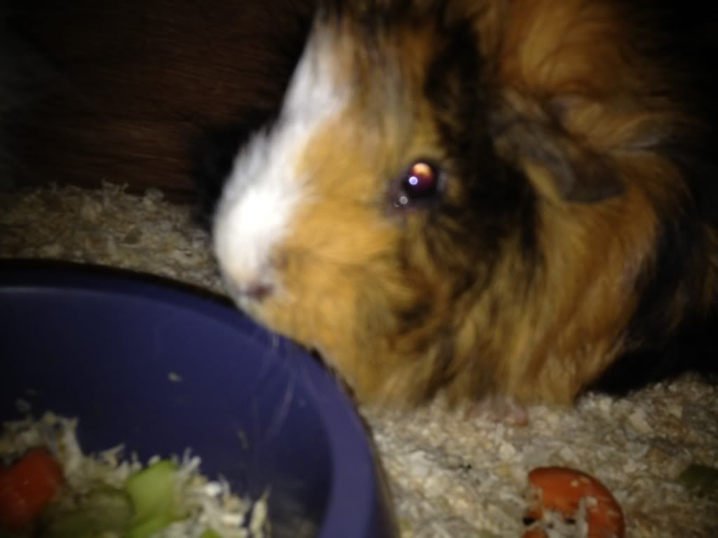 photo21.jpg