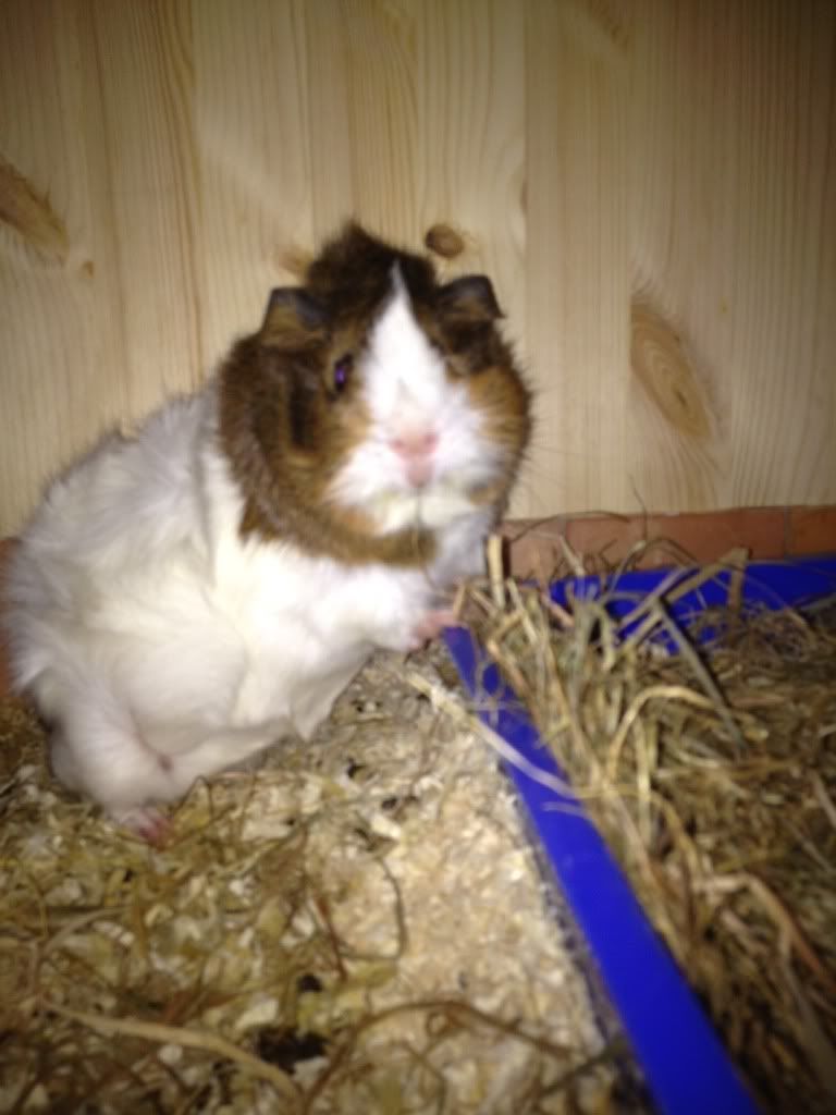 photo38.jpg