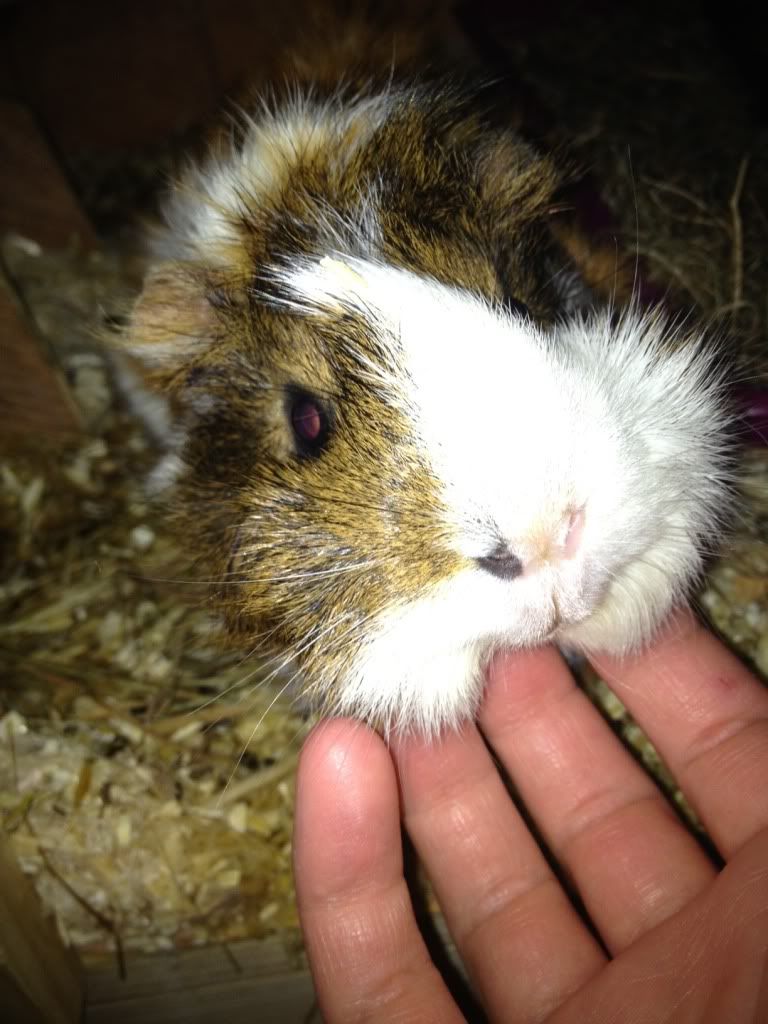 photo39.jpg