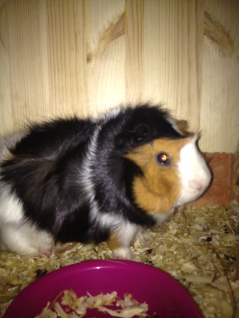 photo42.jpg