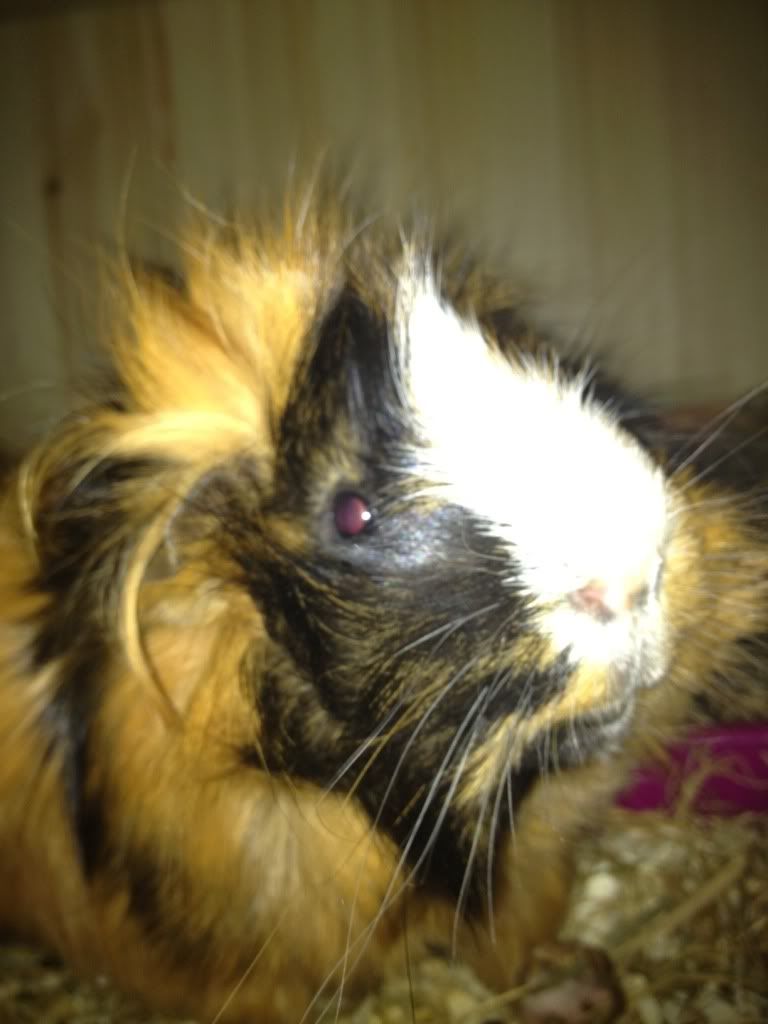 photo43.jpg