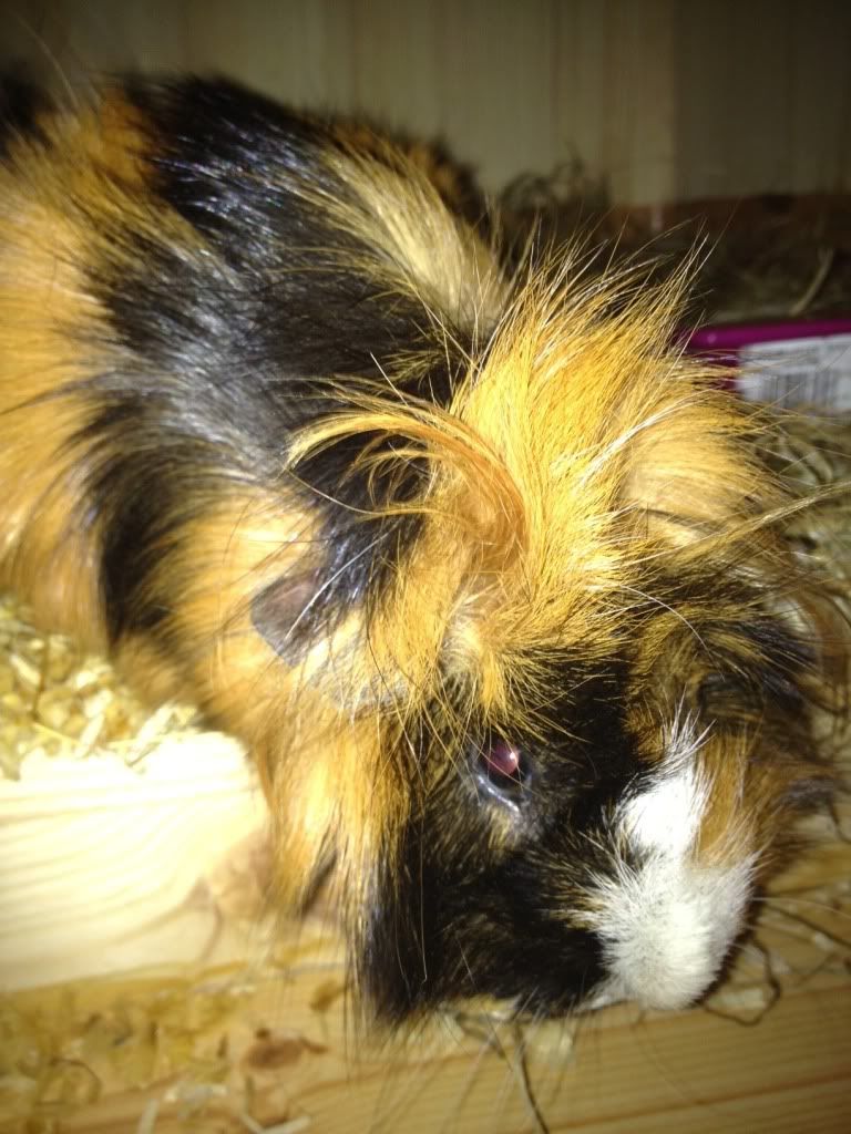 photo44.jpg