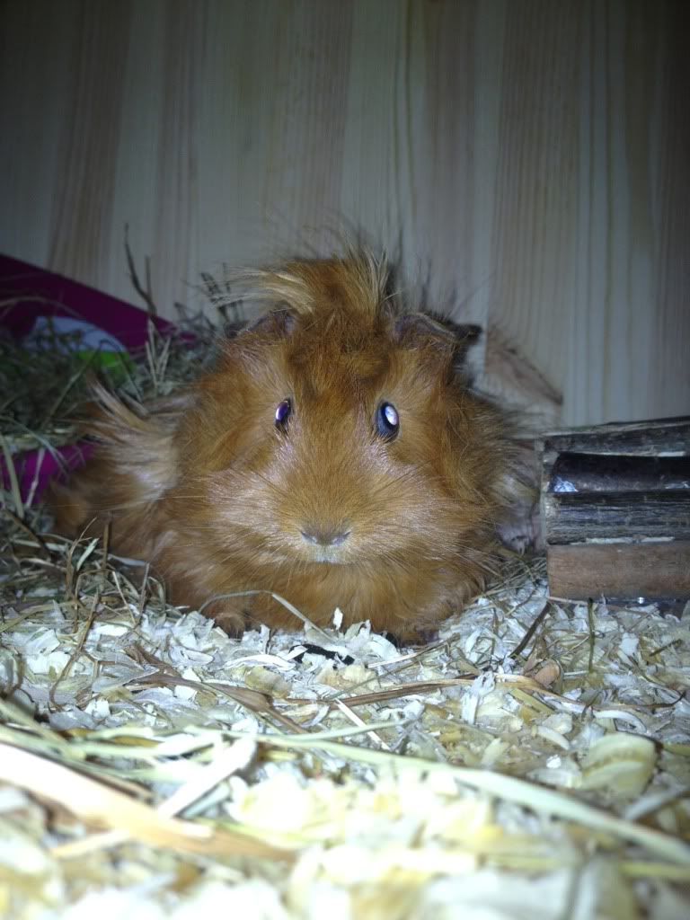 photo45.jpg