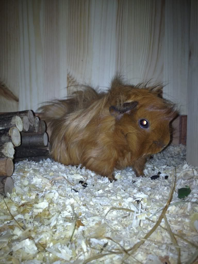photo48.jpg