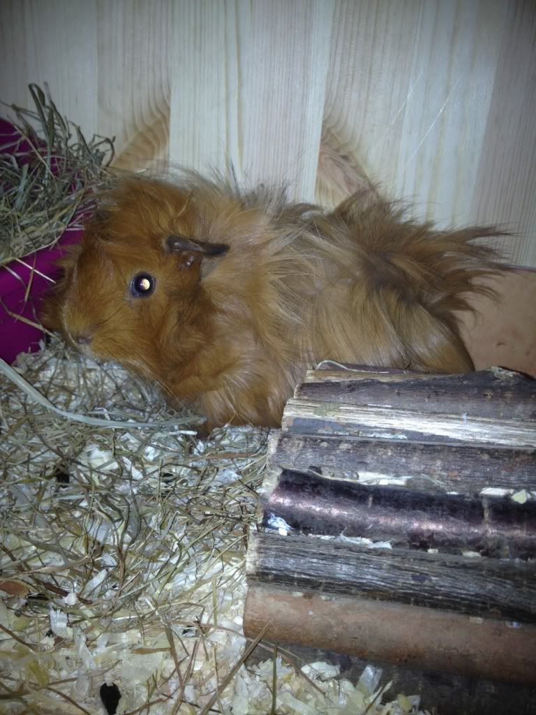 photo49.jpg
