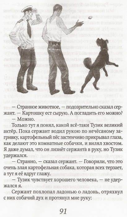 title or description