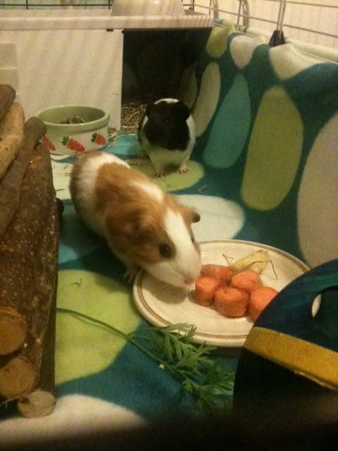 mmmmcarrots.jpg